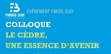 Rediffusion du colloque « Le cèdre, une essence d'avenir » organisé par Fibois Sud