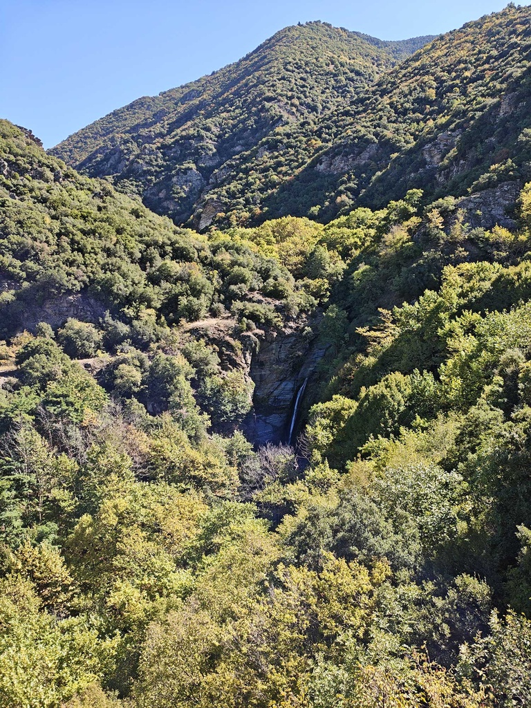 Futures forêts modèles