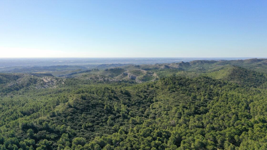 Au Salon de l'agriculture, Monique Barbut rencontre la filière forêt-bois et fixe ses priorités pour la forêt française
