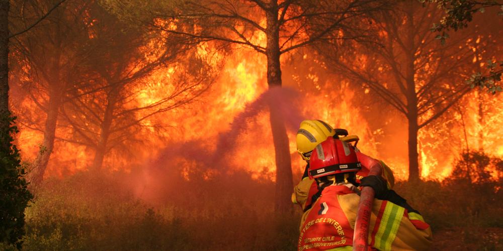 Le changement climatique propice au développpement des feux de forêts en région méditerranéenne