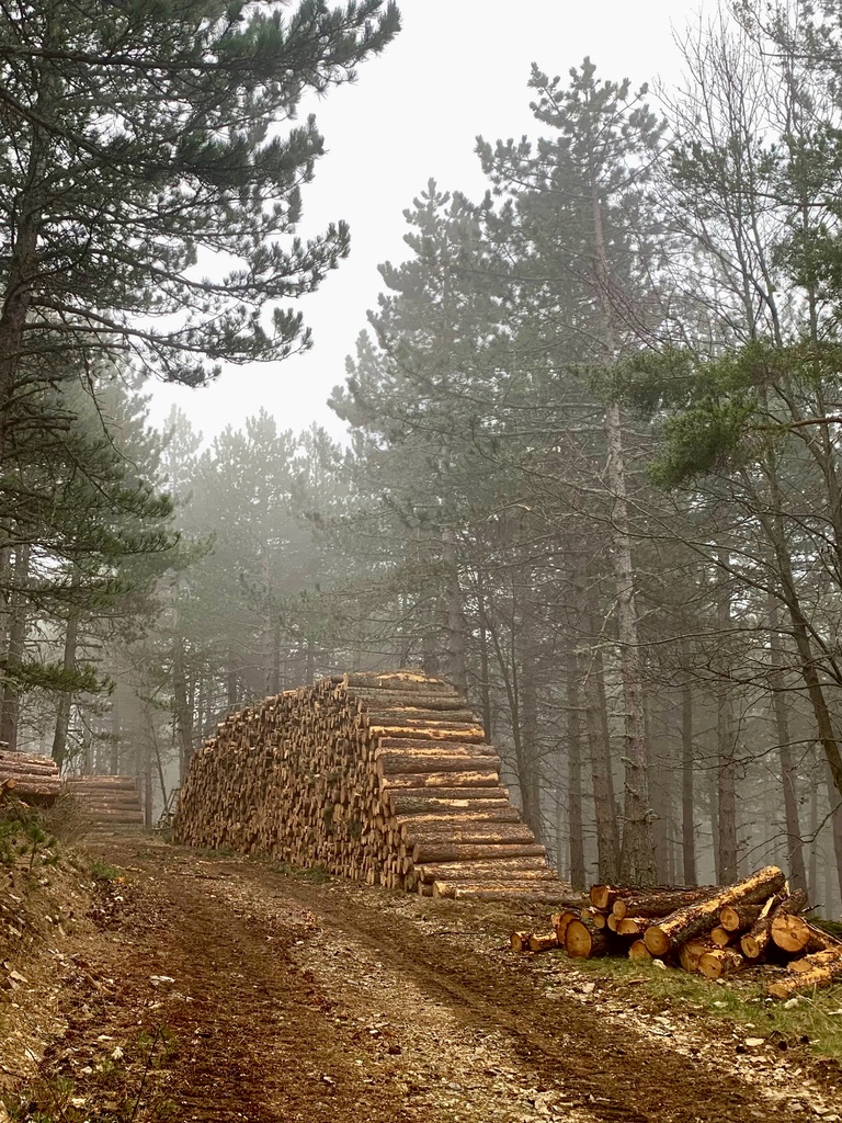 Les rencontres FIBOIS "Pourquoi faire appel à un Bureau d'Etudes Structure Bois ?" - Bressols