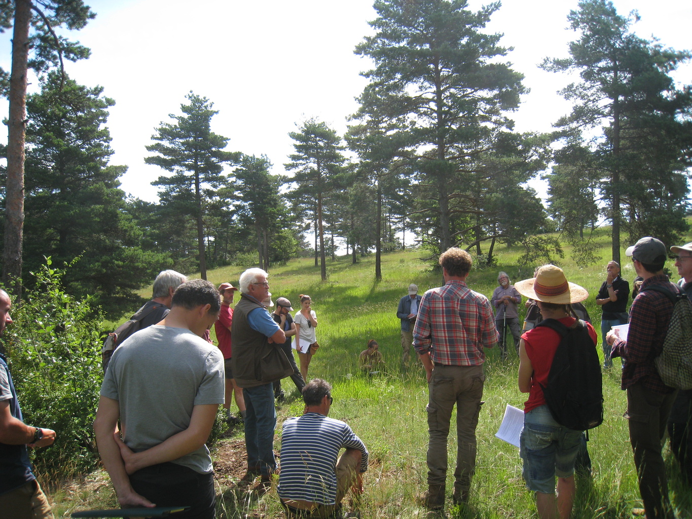 Journée "Favoriser un"véritable" sylvopastoralisme au profit de la forêt et de l'élevage - l'exemple de Larzac"