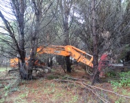 Publication : « Une Charte de confiance de la récolte du bois » par Fibois Sud