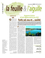 La feuille et l'aiguille, décembre 2024