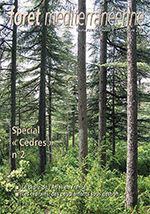 La cédraie face au feu