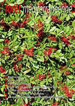 Le Cyprès de l’Atlas (Cupressus atlantica), essence forestière menacée mais aussi essence d’avenir...