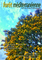 Valoriser le pin d’Alep de Provence sous toutes ses formes : du bois aux huiles essentielles et hydrolats d'aiguilles