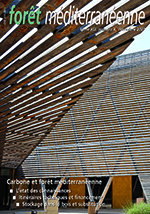 La réglementation environnementale 2020 et l’expérimentation E+C- : quelle place pour le bois ?