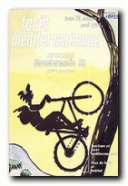 Prise en compte du risque incendie dans le cadre de l’élaboration d’un P.O.S.