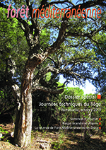 L’actualité du liège dans les Pyrénées-Orientales