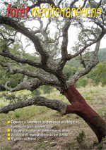 Biomasse ligneuse et foliaire des taillis d’arganier dans le plateau des Haha, Maroc
