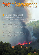 Le pyropaysage : une nouvelle approche territoriale.  Regards de paysagiste-concepteur