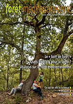 Le "bain de forêt " : quels bienfaits pour la santé ?