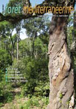 La réserve privée du Ranquas : tout faire pour retrouver la « plus grande biodiversité » d’une forêt méditerranéenne