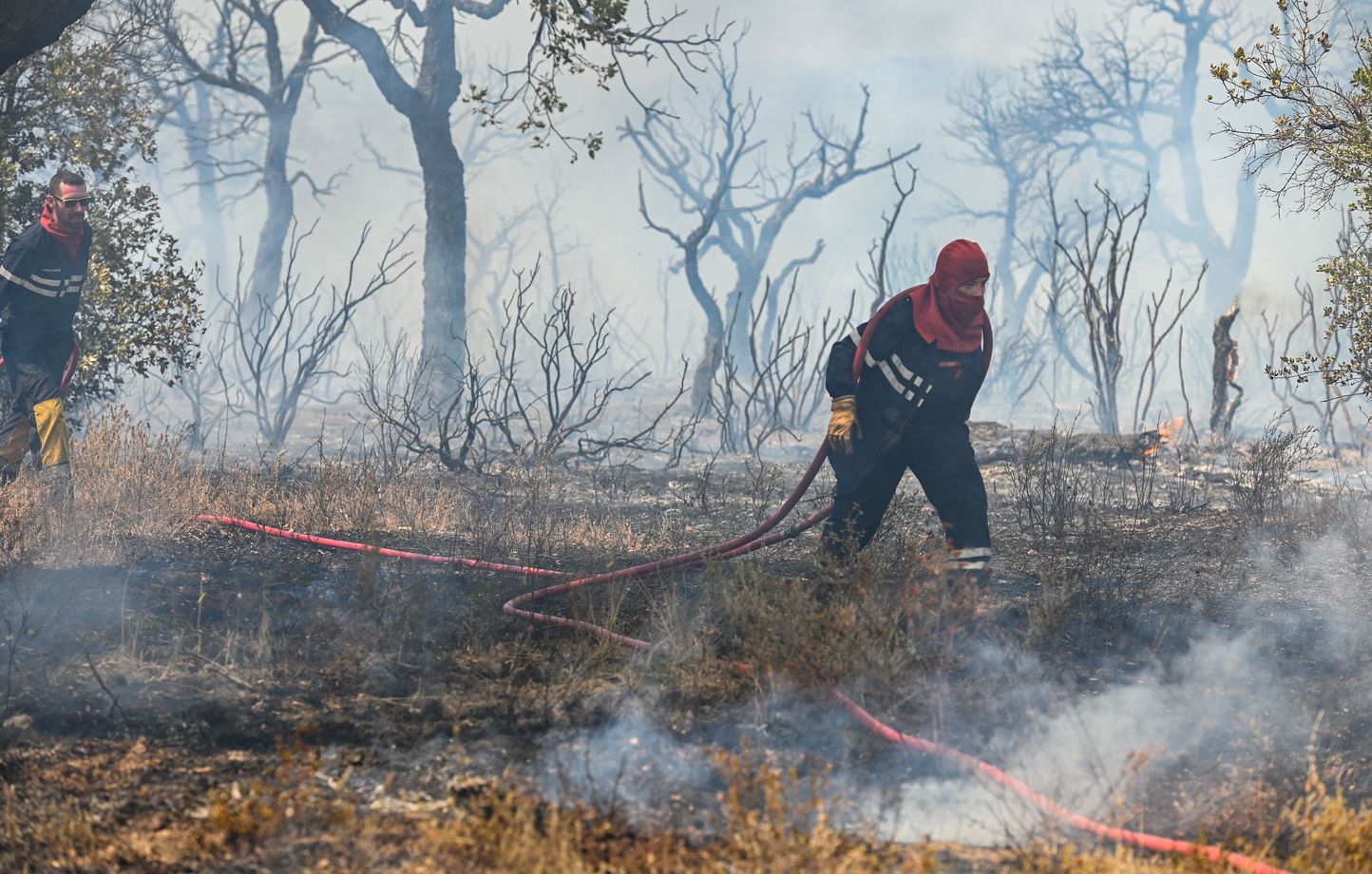 Retrouvez les dernières émissions de "Palabres en Forêt", l'émission radio des Chartes Forestières Sud-Lozère et Pays des Cévennes