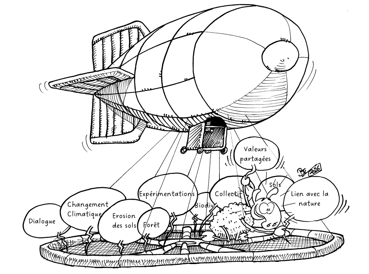 Cycle : Forêt méditerranéenne et société. Comment (ré)inventer le dialogue ? Pour une forêt désirable