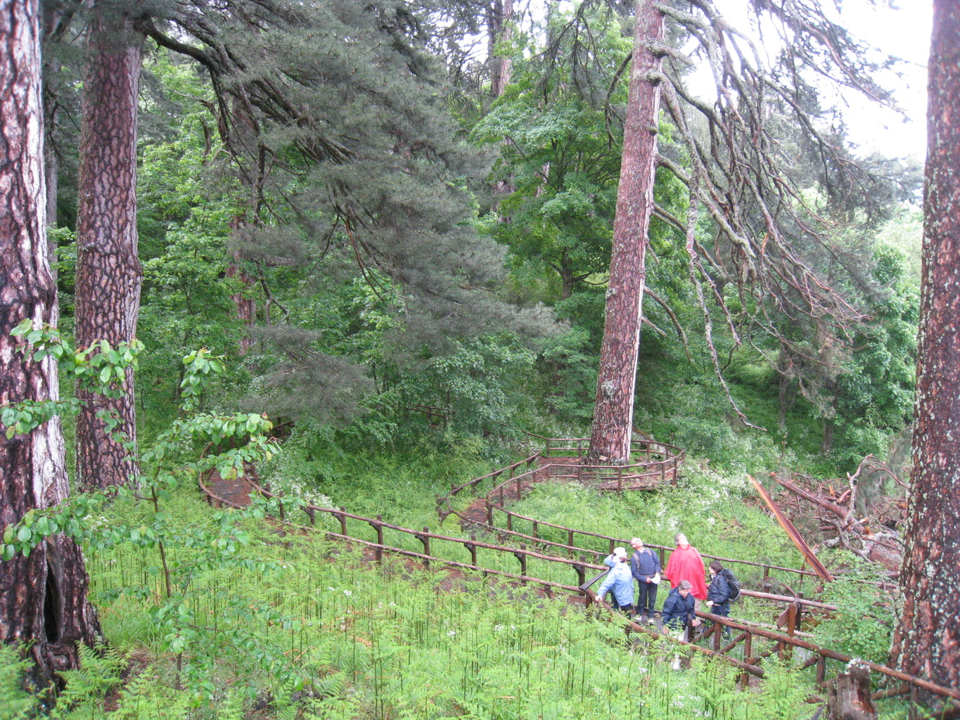 Cycle : Forêt méditerranéenne et société. Comment (ré)inventer le dialogue ? Pour une forêt désirable