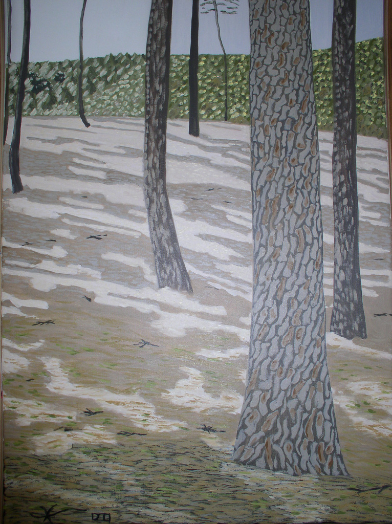 Concours de nouvelles sur la forêt méditerranéenne