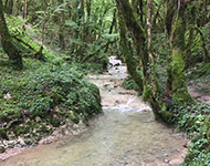 Nouvelles notes d'étapes "Forêt, sol et eau" !