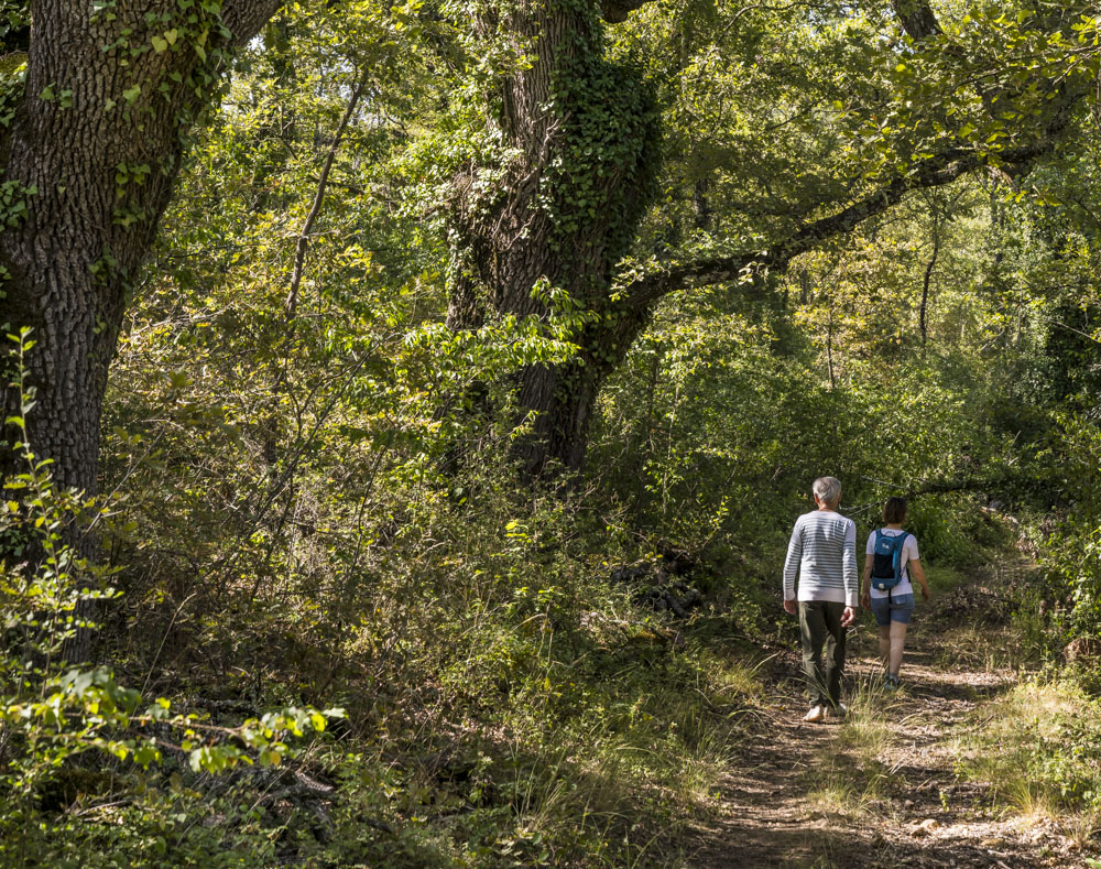 49e Assemblée générale de Forêt Méditerranéenne (Var)