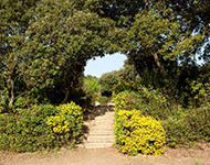 45e Assemblée générale de Forêt Méditerranéenne - Samedi 29 octobre 2022 - Pont-du-Gard