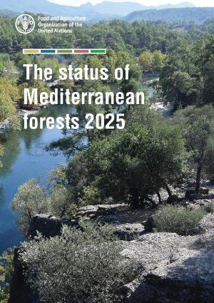 Le statut des forêts méditerranéennes en 2025